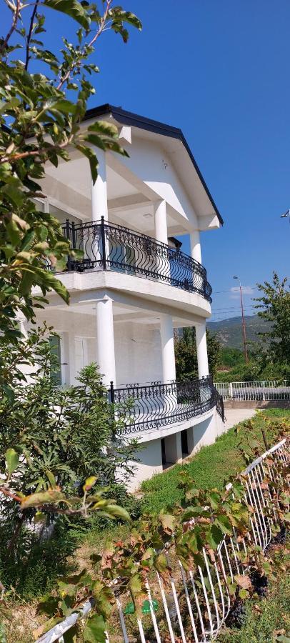 Villa Bratislava Demir Kapija Kültér fotó